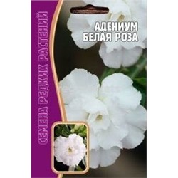 Адениум Белая Роза 3шт (Ред.Сем)