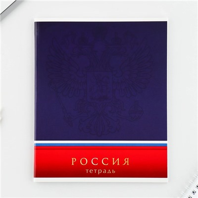 Тетрадь в клетку, 48 листов А5 на скрепке МИКС «1 сентября: Шрифтовые яркие», обложка мелованный картон 230 гр., внутренний блок №1, белизна 96%