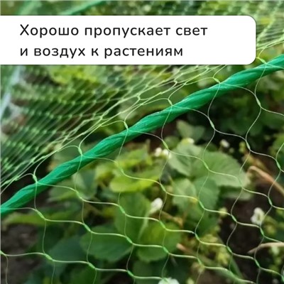 Сетка садовая, мягкая, 5 × 2 м, ячейка 8 × 8 мм, от птиц, Greengo