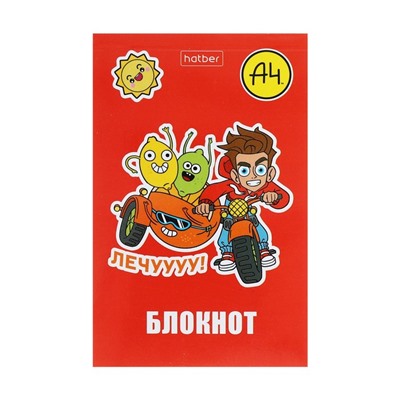 Блокнот А7, 48 листов, в клетку, на склейке, "Влад А4", обложка мелованная бумага, ламинация, трёхцветный блок, блок 60 г/м2, 5В МИКС