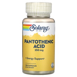Solaray Panthothenic Acid, 250 mg, 100 Capsules