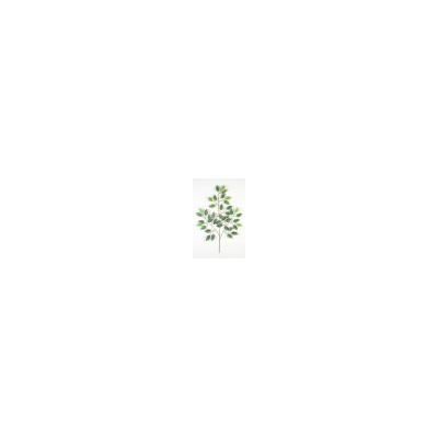 Искусственные цветы, Ветка кустовая фикус с белым кантом 42 листа(1010237) с белым кантом