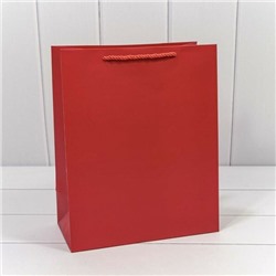 Подарочный пакет люкс бумажный 26*32*13 см Фактура красный 441128