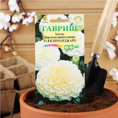 Семена цветов Бархатцы прямые (Тагетес) "Килиманджаро", F1, 0,05 г