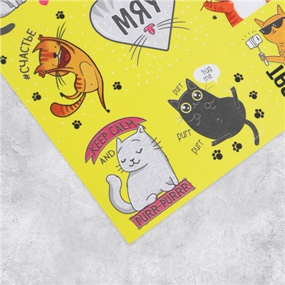 Наклейки бумажные «Котики» , 11 × 15,5 см