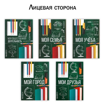 Папка школьная с креплением «Портфолио школьника», 10 листов-разделителей, 21,5 х 30 см.