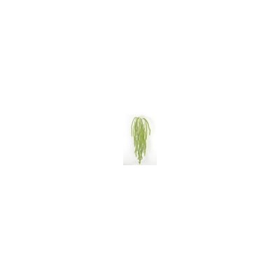 Искусственные цветы, Ветка зелени водоросль свисающая (1010237) без расцветки