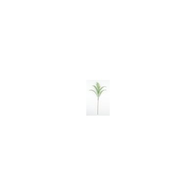 Искусственные цветы, Ветка кустовая пальма 5 листьев (1010237) зеленый