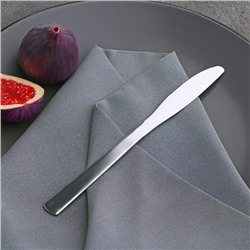 Нож столовый Доляна «Нордик», 20,2 см, толщина 2 мм, цвет серебряный