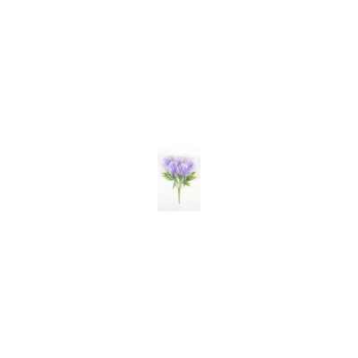 Искусственные цветы, Ветка в букете с шишками 5 веток (1010237)