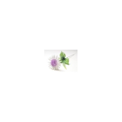 Искусственные цветы, Ветка одиночная астра одуванчиковая (1010237) микс