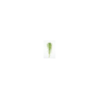 Искусственные цветы, Ветка зелени осока свисающая (1010237)