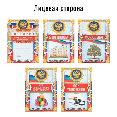 Папка школьная на кольцах «Портфолио школьника», 10 листов-разделителей, 24,5 х 32 см.