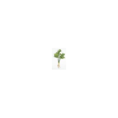 Искусственные цветы, Ветка кустовая монстера остролистная с корешками (1010237) зеленый