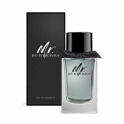 Burberry Mr Burberry EDT 100ml (M)