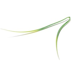 Искусственные цветы, Ветка - лист осока крупная без литника для венка (1010237) зеленый