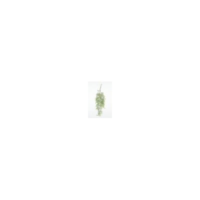 Искусственные цветы, Ветка зелени аспарагус свисающий на коряжке (1010237) темно-зеленый