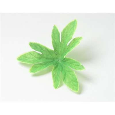 Искусственные цветы, Слои листа пиона для венка зеленый с белым кантом
