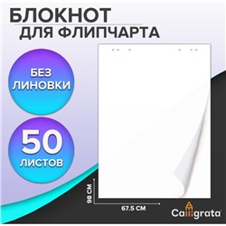 Блокнот для флипчарта, 67,5 х 98 см, 50 листов белый, 92%, 80 г/м2, Calligrata