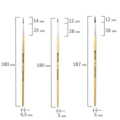 Набор кистей "Пони", 5 штук, BRAUBERG (круглые, № 1, 2, 3, 4, 5), блистер