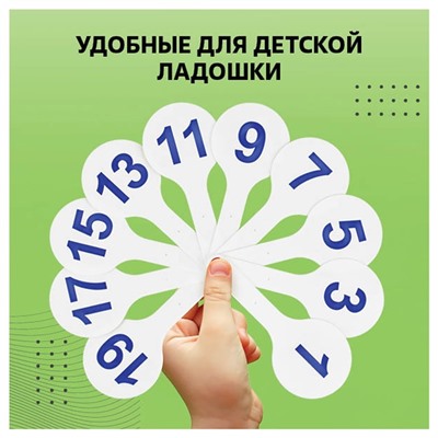 Набор веер-касс, гласные, согласные и цифры, Стамм, 3 штуки, пакет с европодвесом