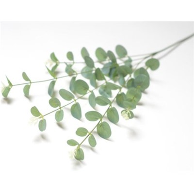 Искусственные цветы, Ветка эвкалипта (1010237) зеленый