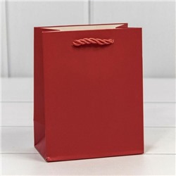 Подарочный пакет люкс бумажный 12*15*7 см Фактура красный 441709
