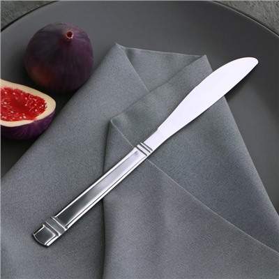 Нож столовый Доляна «Варт», 21,9 см, толщина 2 мм, цвет серебряный