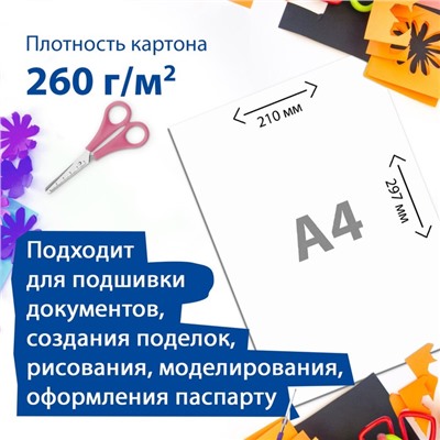 Картон для подшивки документов А4, 100 листов, немелованный, односторонний, блок 260 г/м2, бело-серый