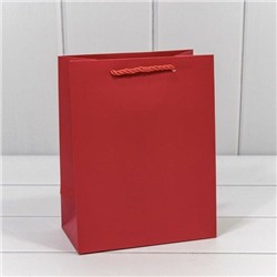 Подарочный пакет люкс бумажный 18*23*10 см Фактура красный 441227