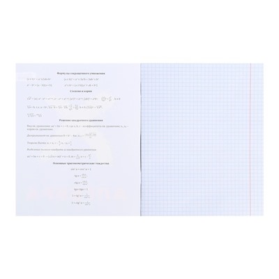 Тетрадь предметная 48 листов в клетку Error "Алгебра", обложка мелованная бумага, блок офсет
