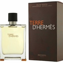 Hermes Terre D’Hermes EDT 100ml (M)