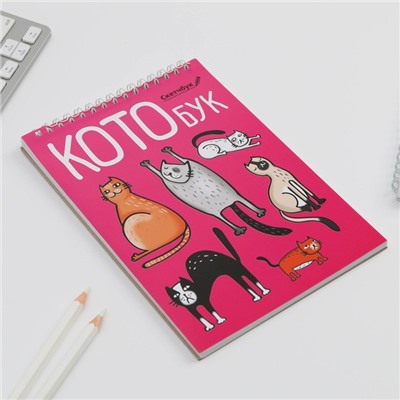 Скетчбук «Котобук» А5, 40 л, 100 г/м