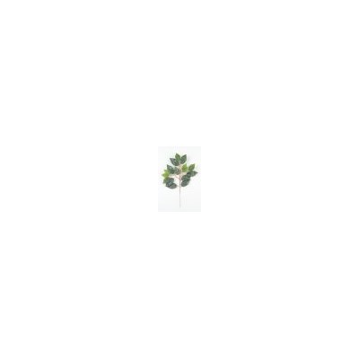 Искусственные цветы, Ветка фикус (1010237) зеленый