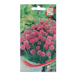 Семена цветов Армерия "Великолепная", 50 шт