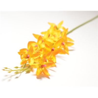 Искусственные цветы, Ветка орхидея 12 голов (1010237)