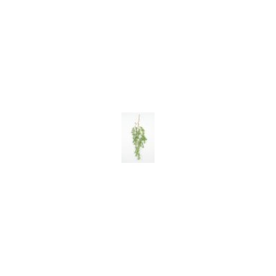 Искусственные цветы, Ветка зелени ель крымская свисающая на коряжке (1010237)