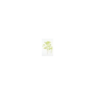 Искусственные цветы, Ветка дерева акация (1010237)