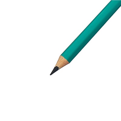 Карандаши 24 цвета Calligrata, ЭКОНОМ, заточенные, шестигранные, пластиковые, пенал-футляр и 3 чернографитных карандаша с ластиком в ПОДАРОК, МИКС