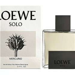 Loewe Solo Mercurio EDP 100ml (EURO) (M)