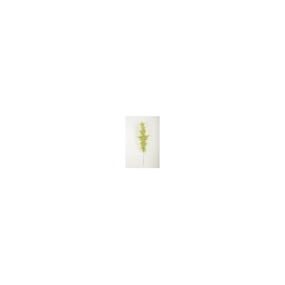 Искусственные цветы, Ветка - лист папоротника широкий (1010237)