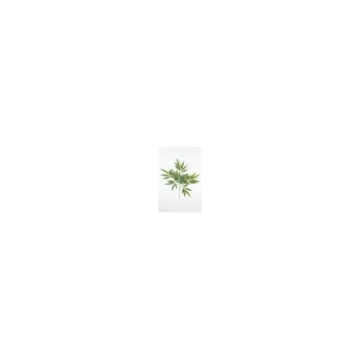 Искусственные цветы, Ветка кустовая бамбук (1010237) зеленый