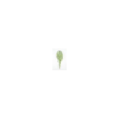 Искусственные цветы, Ветка зелени бамбук свисающая 5 веток (1010237) зеленый