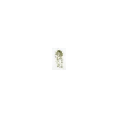 Искусственные цветы, Ветка зелени мелколист свисающий (1010237) зеленый