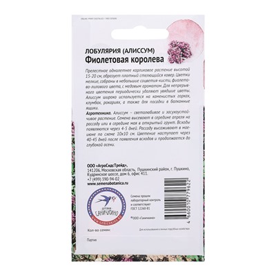 Семена цветов Алиссум (лобулярия) "Фиолетовая королева", 0,1 г