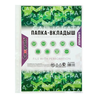 Файл-вкладыш А4, 45 мкм, Calligrata, матовый, вертикальный, 100 штук