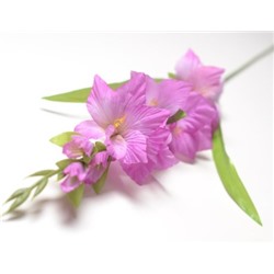 Искусственные цветы, Ветка одиночная гладиолусы малые (1010237)