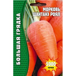 Морковь Шантане Роял 5000шт (Ред.сем)