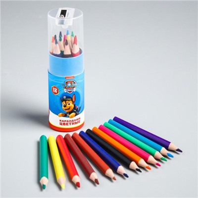 Цветные карандаши в тубусе, 12 цветов, трехгранные, Щенячий патруль