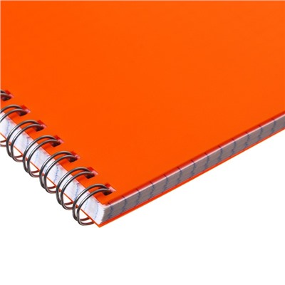 Тетрадь на гребне A4 60 листов в клетку Calligrata Оранжевая, пластиковая обложка, блок офсет